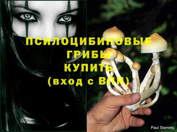 прущий лед Волосово