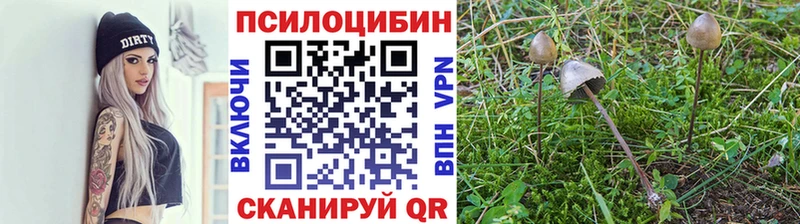 Купить  Родники  Галлюциногенные грибы Magic Shrooms 